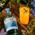Azzurra cocktail and bottle of Everleaf