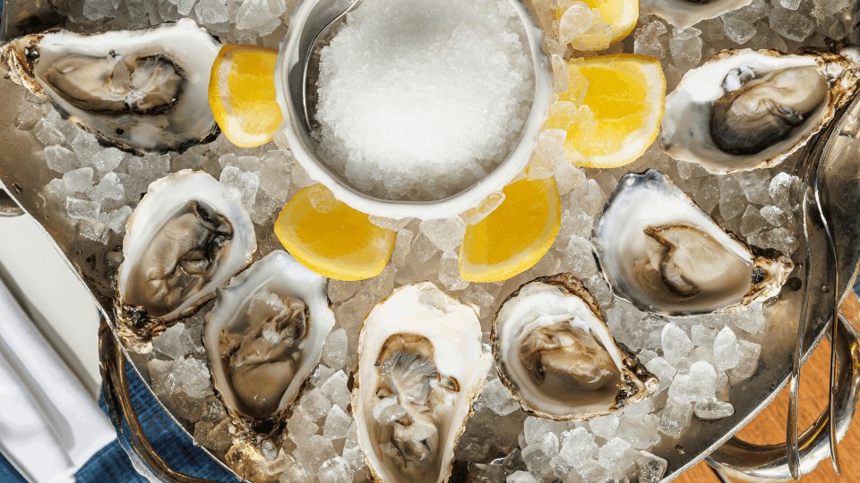 Freshly shucked oysters lemon granita Azzurra Chelsea Sloane Street